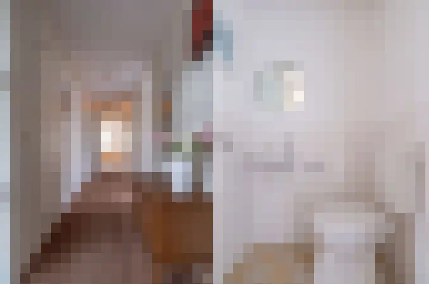 Bosschawei 66 Boornbergum thumbnail 12