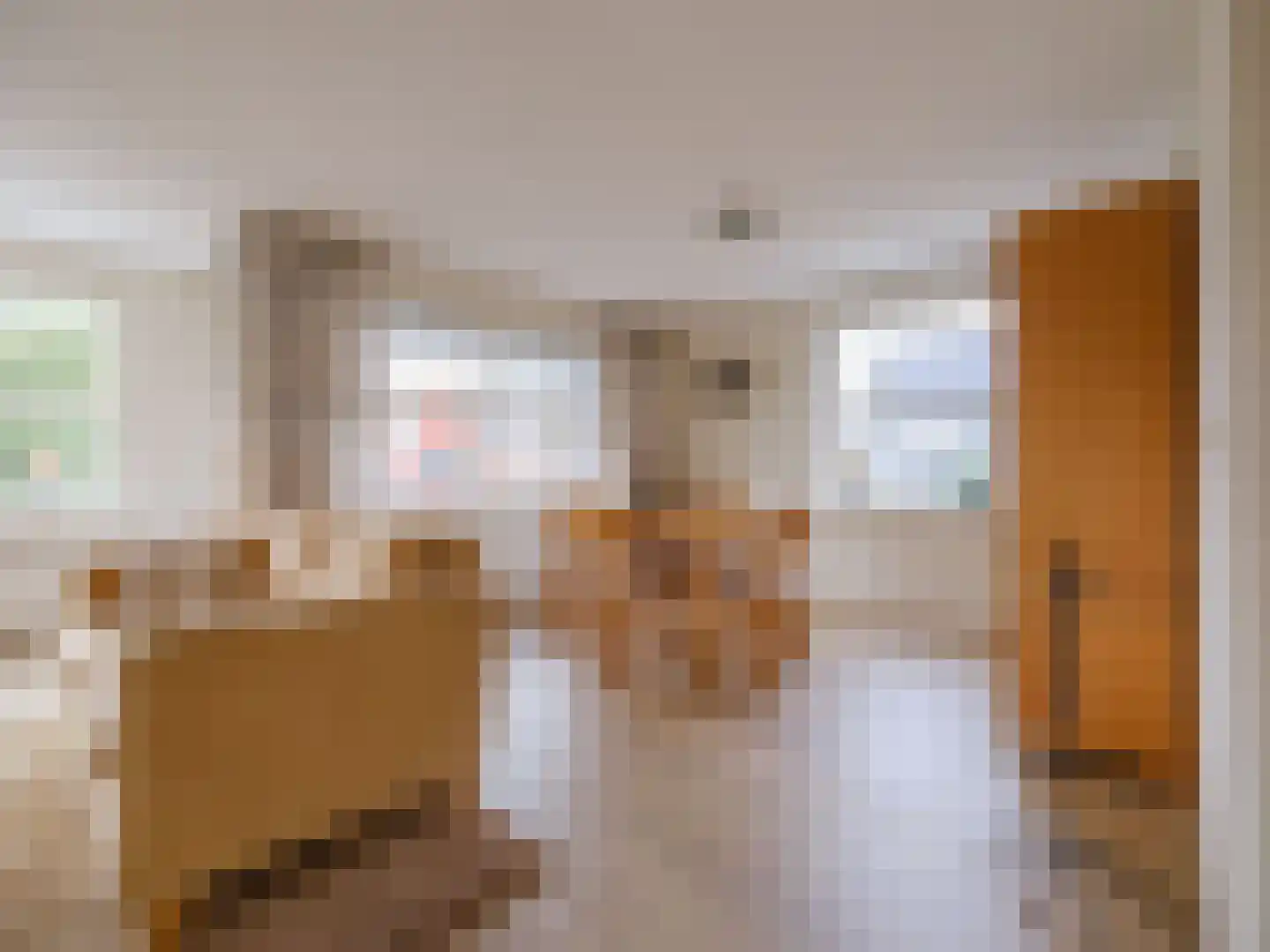 Bosschawei 66 Boornbergum thumbnail 15