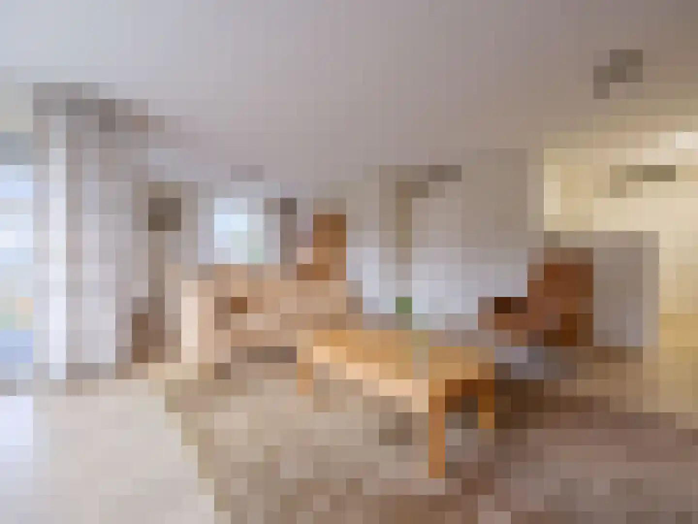 Bosschawei 66 Boornbergum thumbnail 16