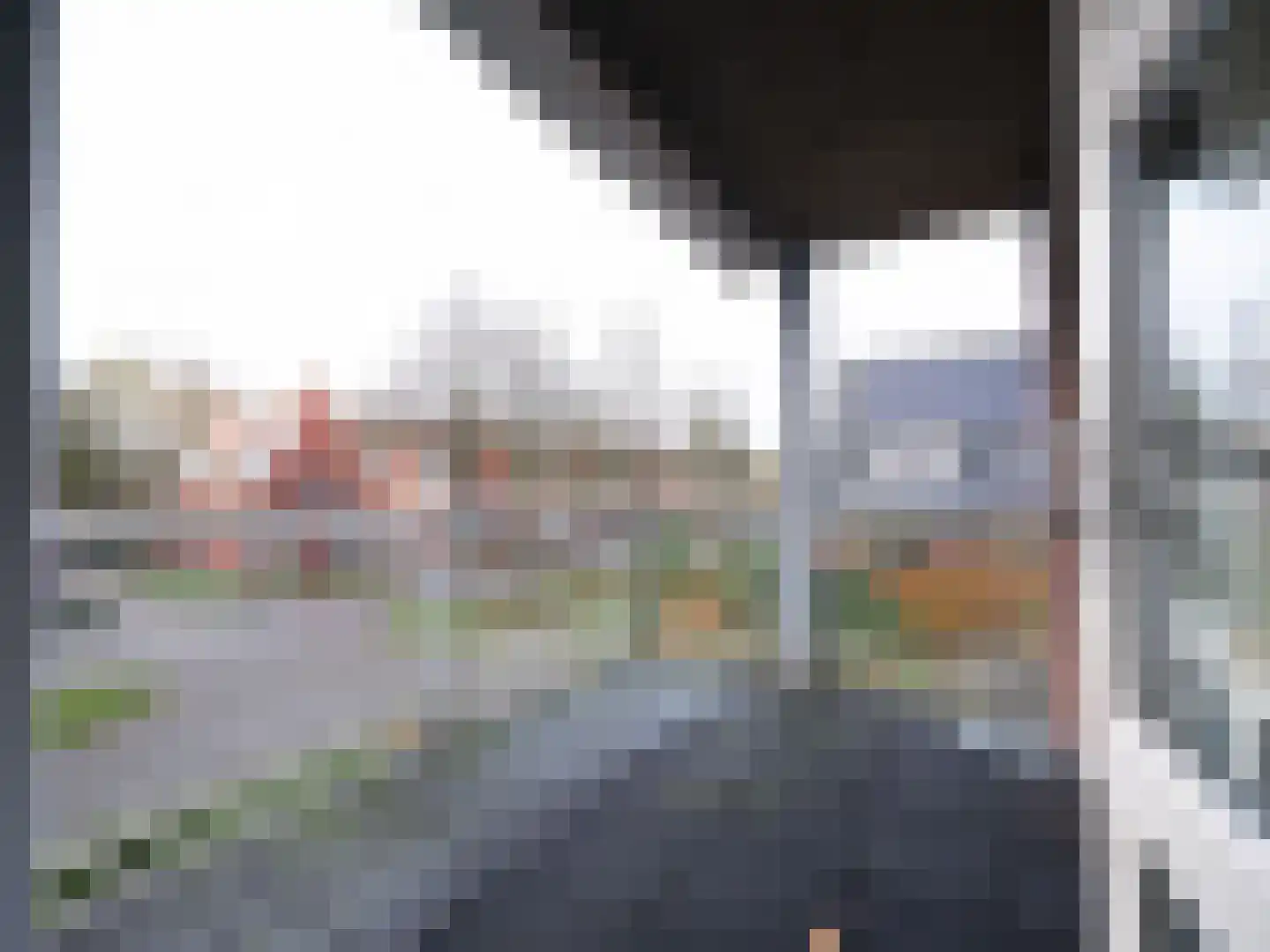 Bosschawei 66 Boornbergum thumbnail 17