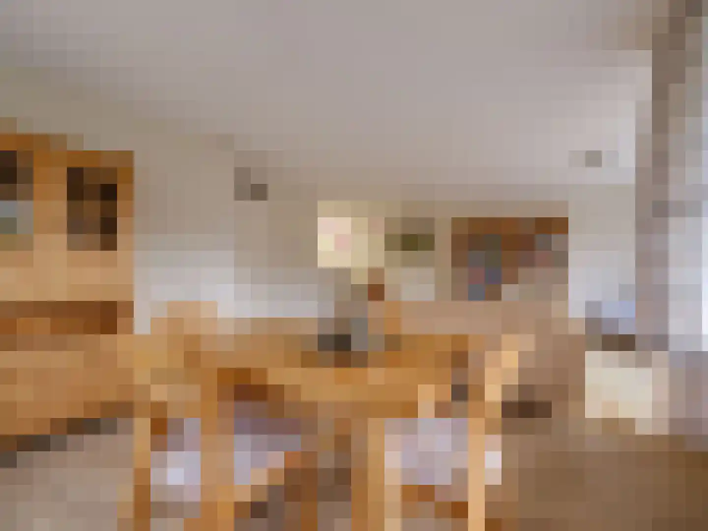 Bosschawei 66 Boornbergum thumbnail 19