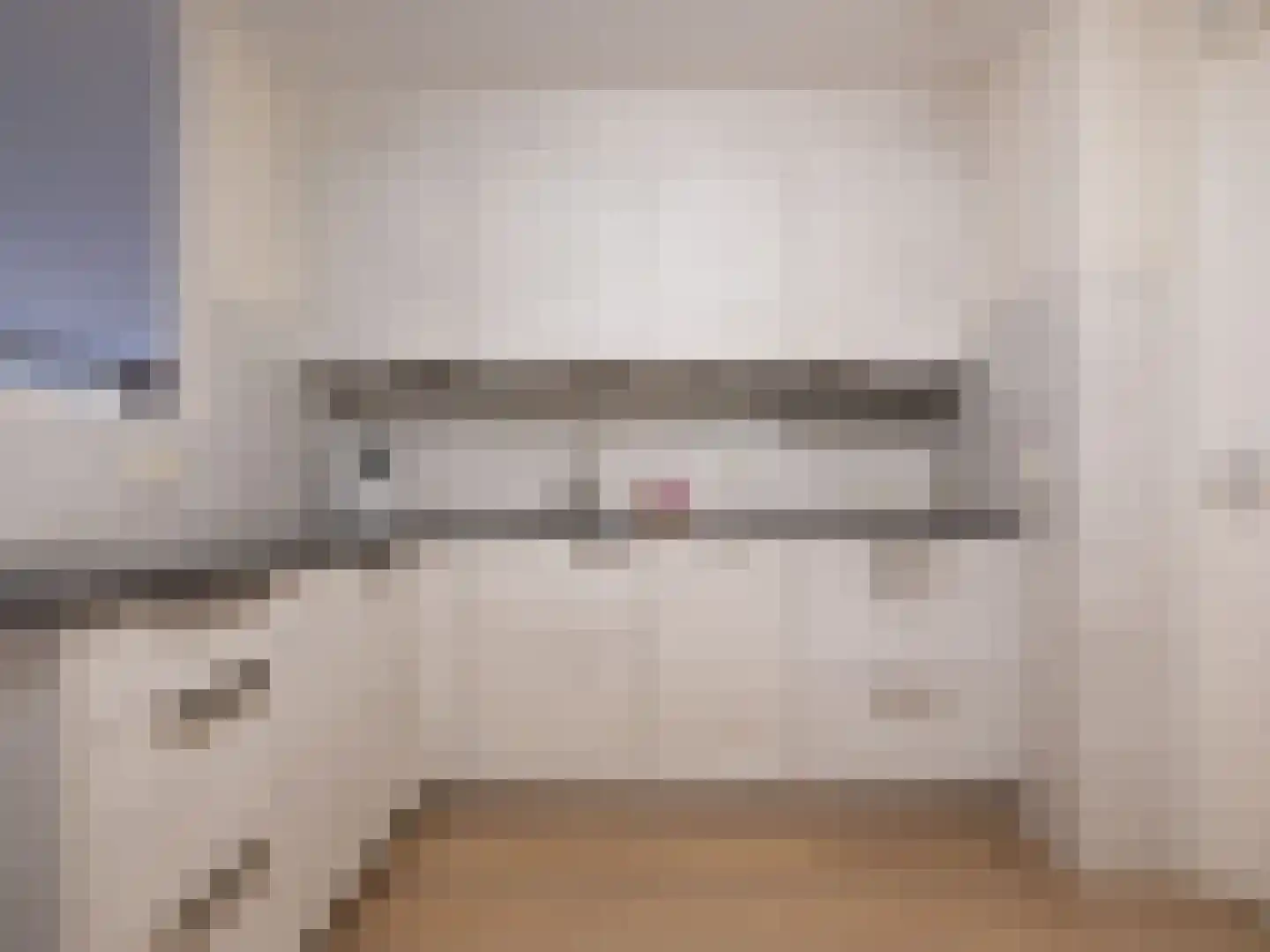 Bosschawei 66 Boornbergum thumbnail 20