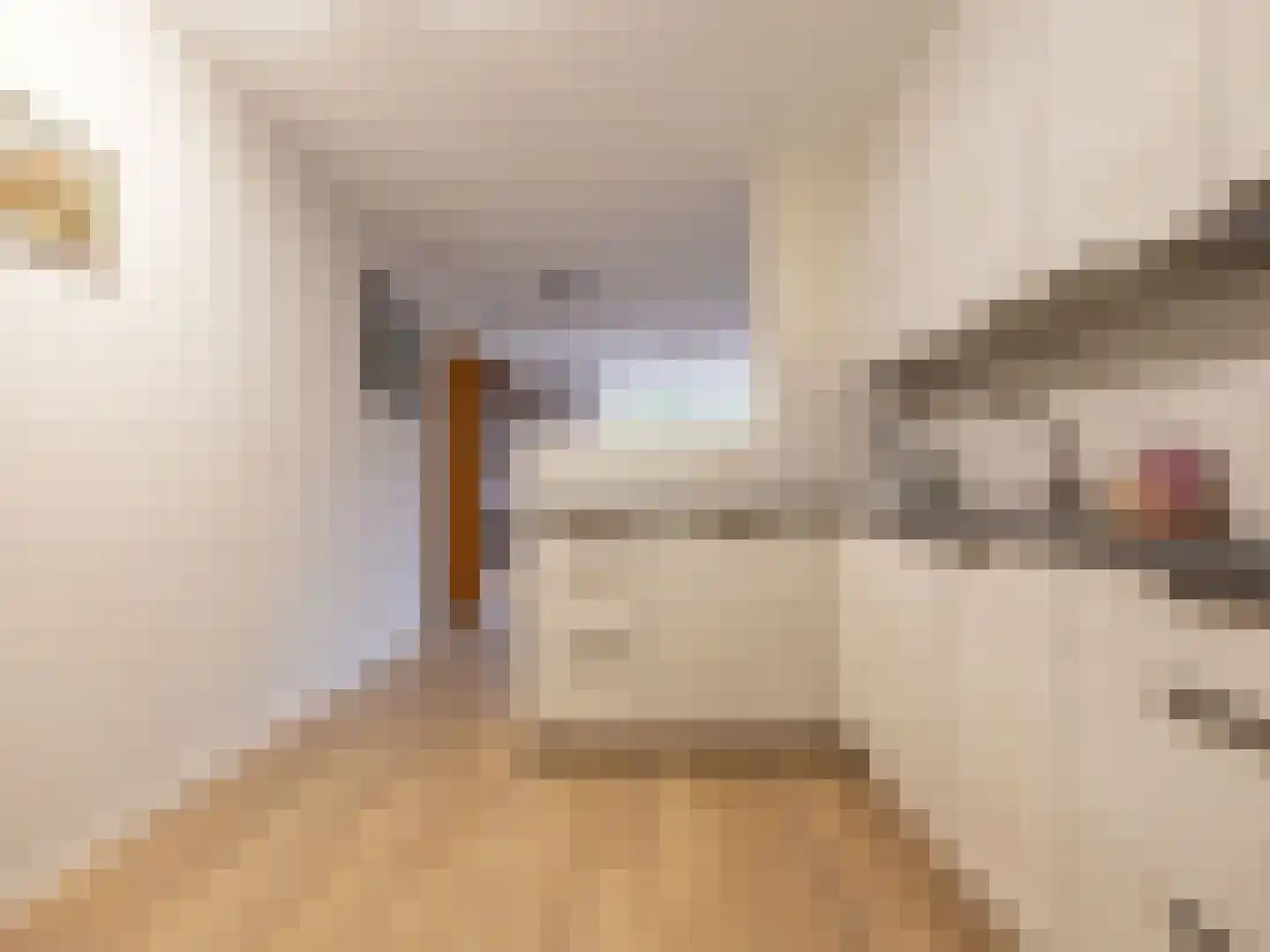 Bosschawei 66 Boornbergum thumbnail 21