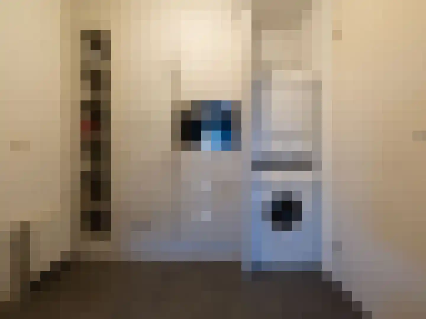 Bosschawei 66 Boornbergum thumbnail 22