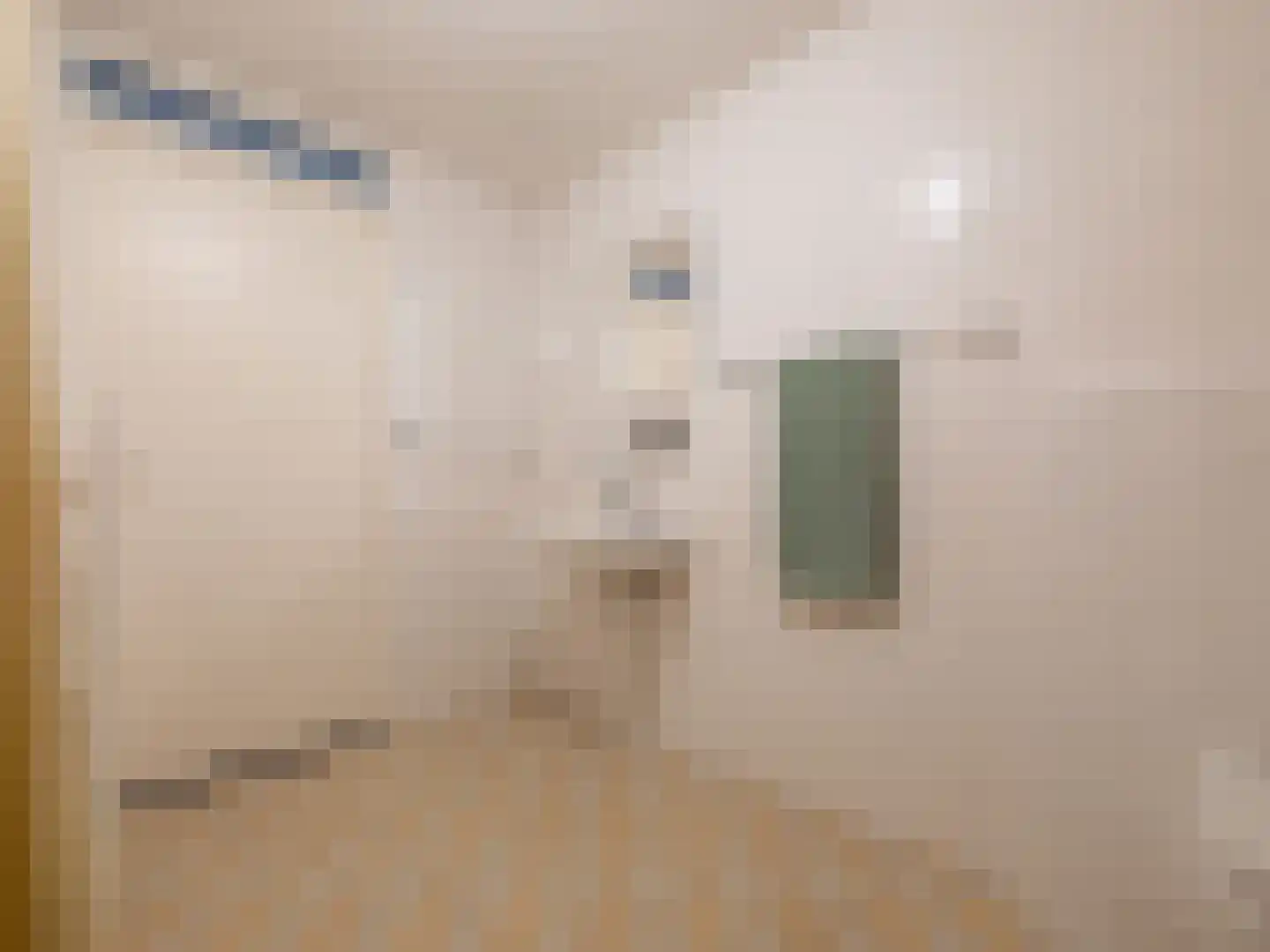 Bosschawei 66 Boornbergum thumbnail 24