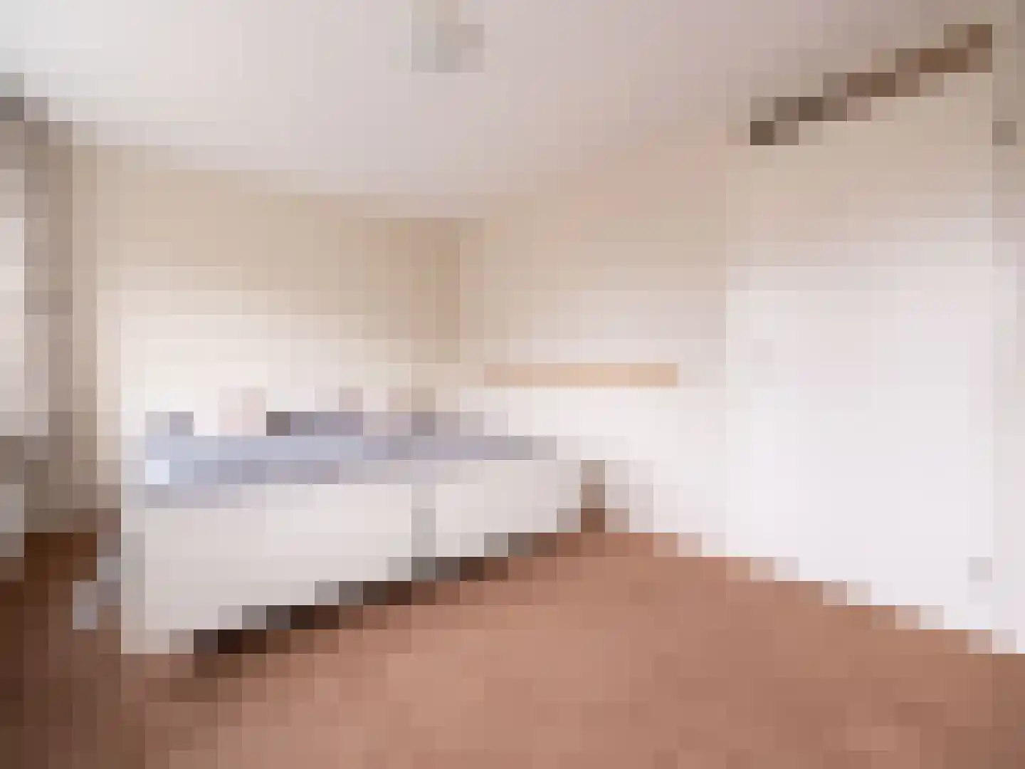 Bosschawei 66 Boornbergum thumbnail 26