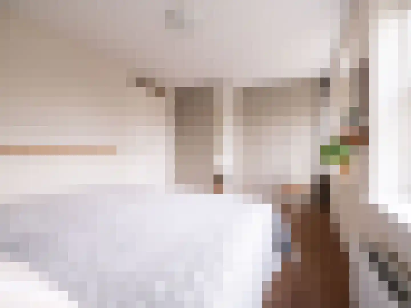 Bosschawei 66 Boornbergum thumbnail 27