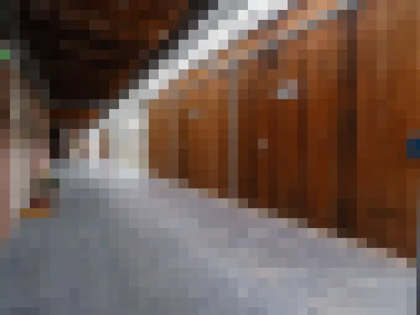 Bosschawei 66 Boornbergum thumbnail 29