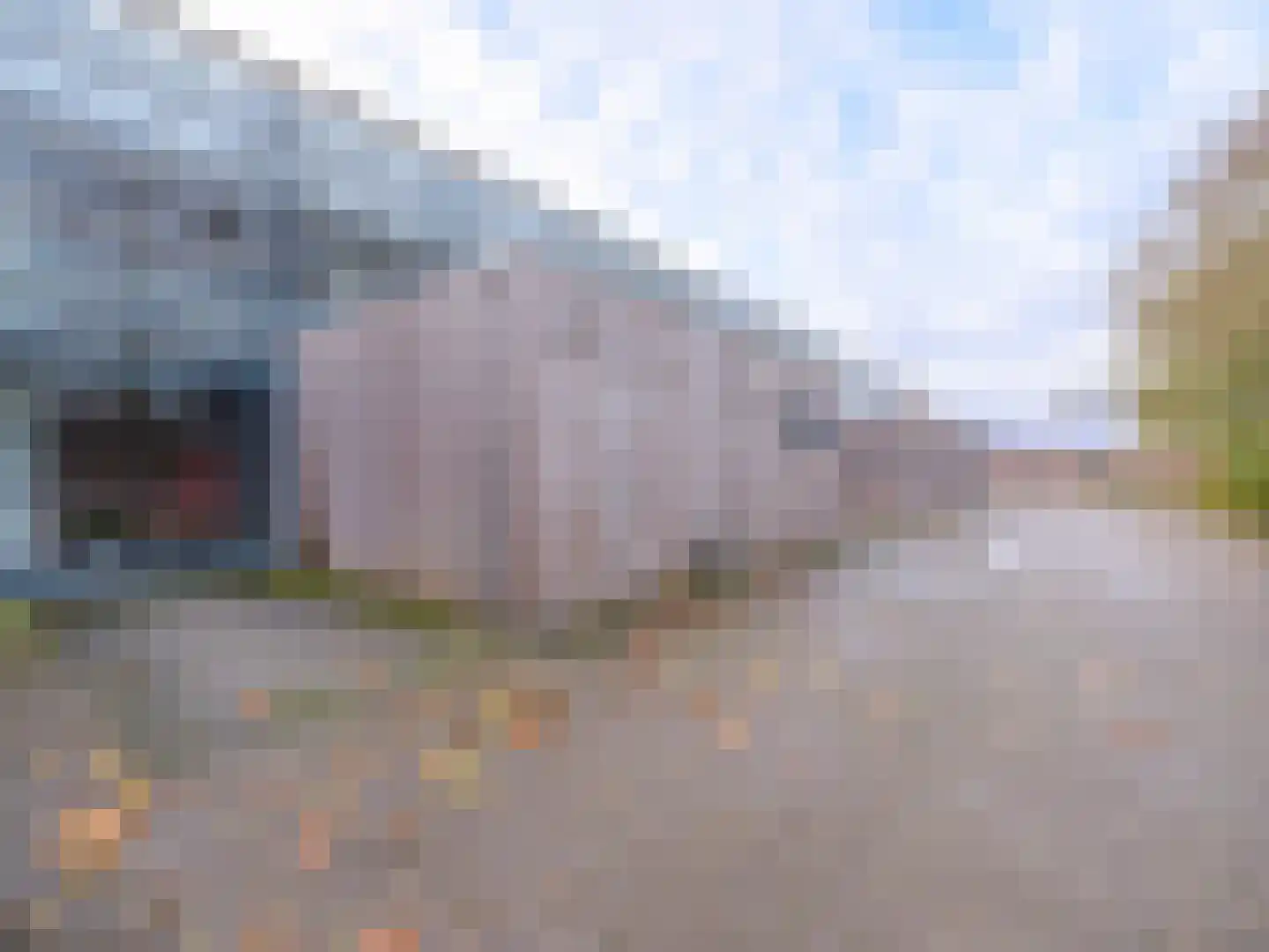 Bosschawei 66 Boornbergum thumbnail 30