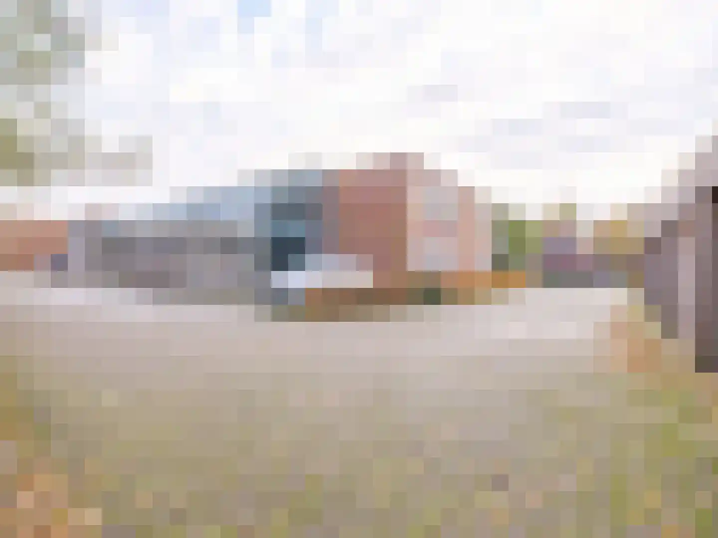 Bosschawei 66 Boornbergum thumbnail 32