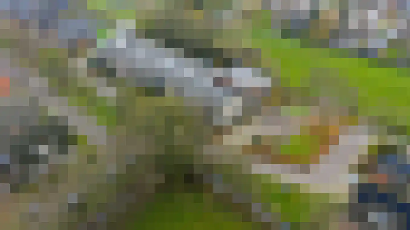 Bosschawei 66 Boornbergum thumbnail 33