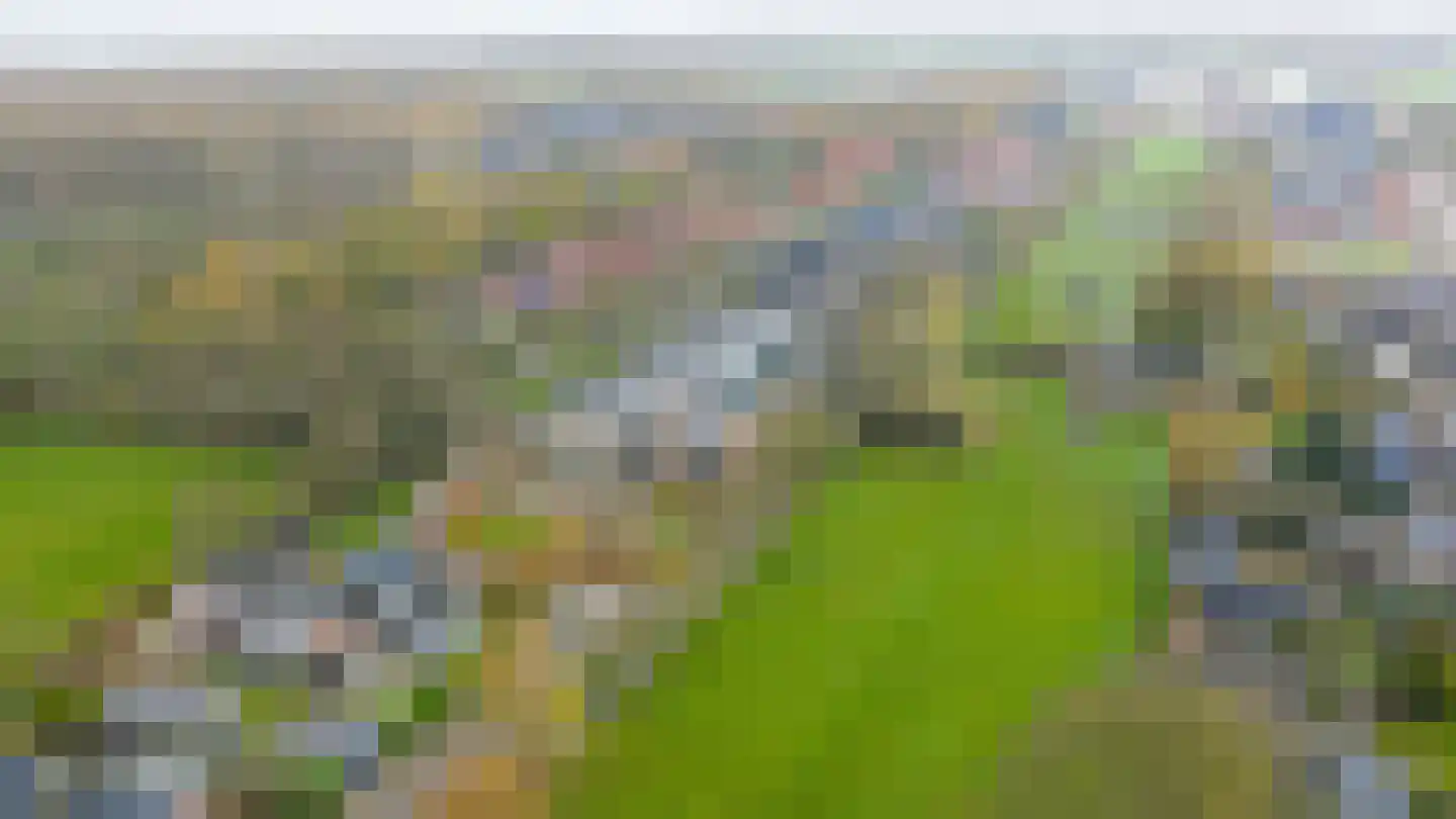 Bosschawei 66 Boornbergum thumbnail 34