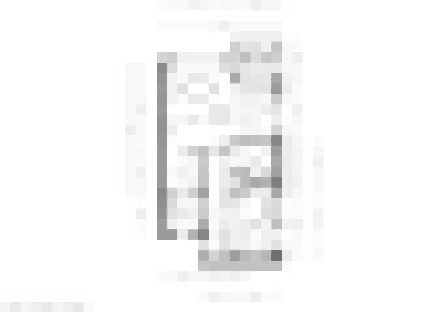 Bosschawei 66 Boornbergum thumbnail 36