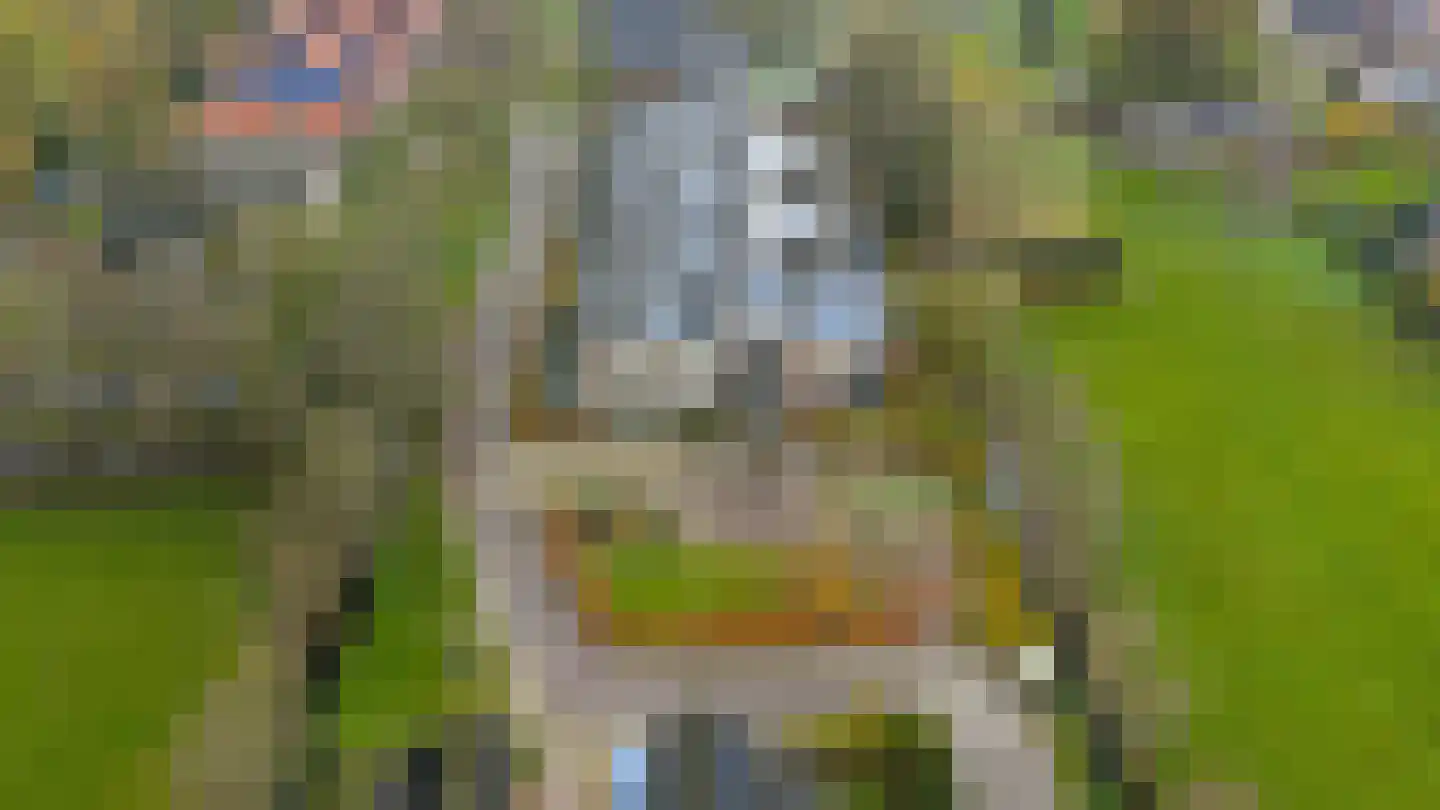 Bosschawei 66 Boornbergum thumbnail 5