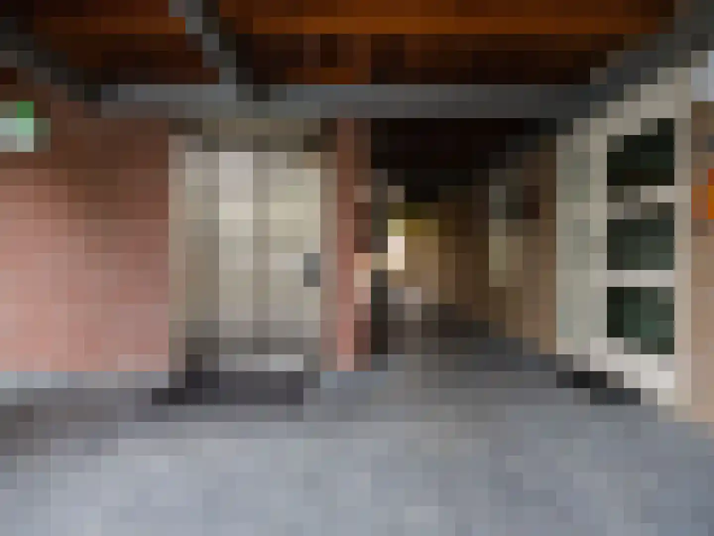 Bosschawei 66 Boornbergum thumbnail 7