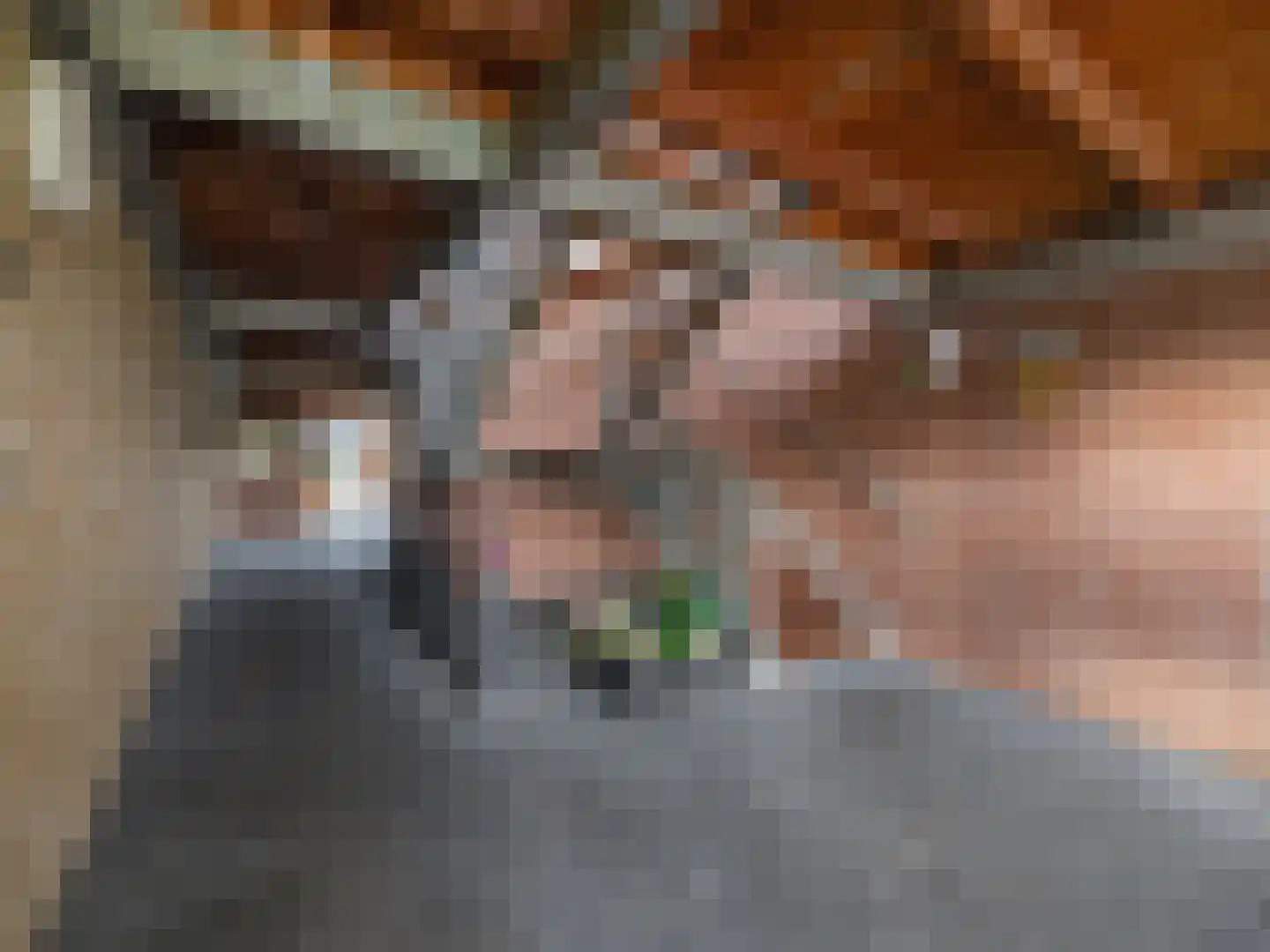 Bosschawei 66 Boornbergum thumbnail 9