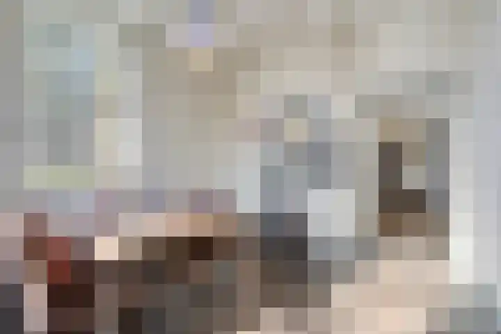 Bosschebaan 17 Velp thumbnail 10