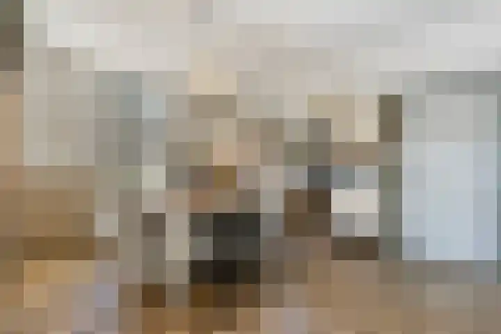 Bosschebaan 17 Velp thumbnail 11
