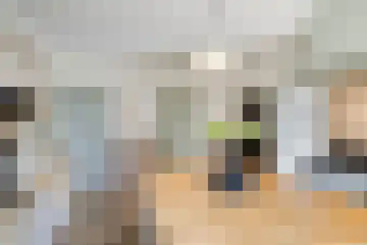 Bosschebaan 17 Velp thumbnail 15