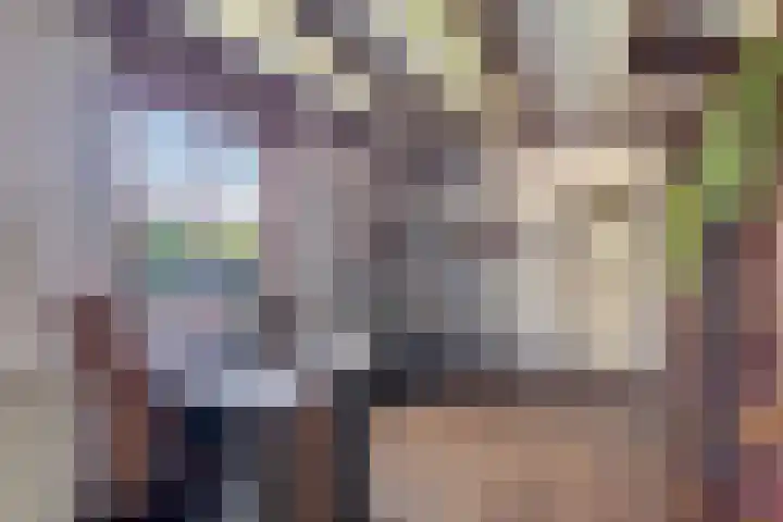 Bosschebaan 17 Velp thumbnail 17