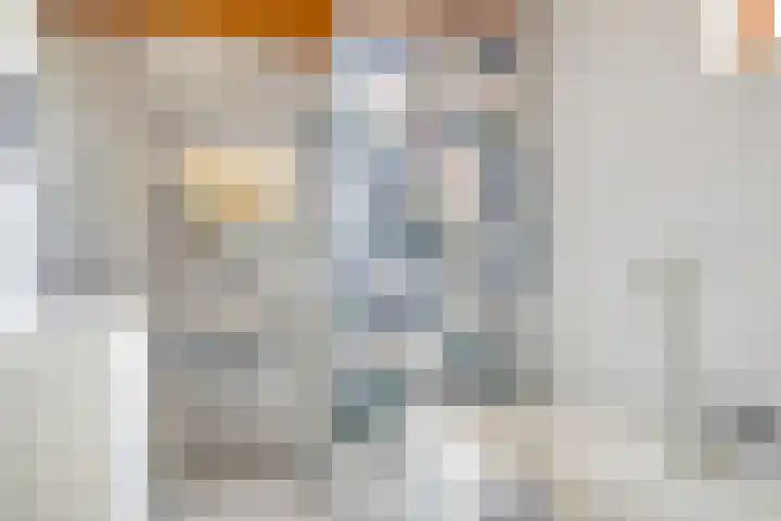Bosschebaan 17 Velp thumbnail 21