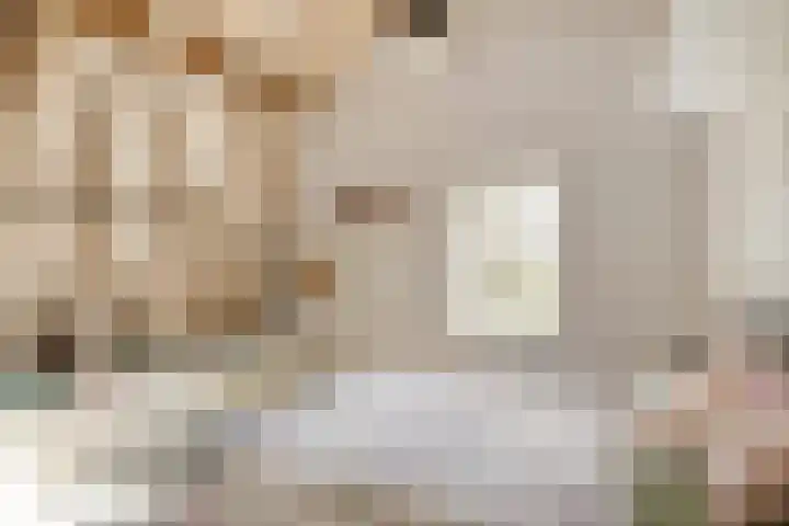 Bosschebaan 17 Velp thumbnail 23