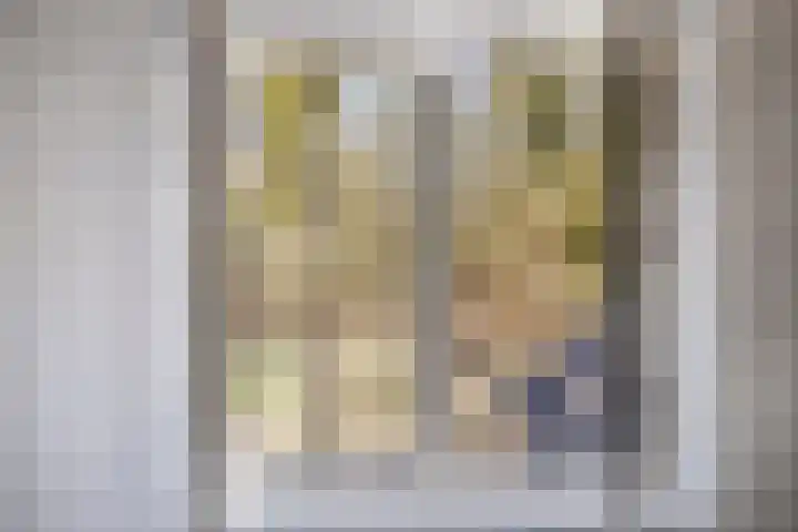 Bosschebaan 17 Velp thumbnail 28