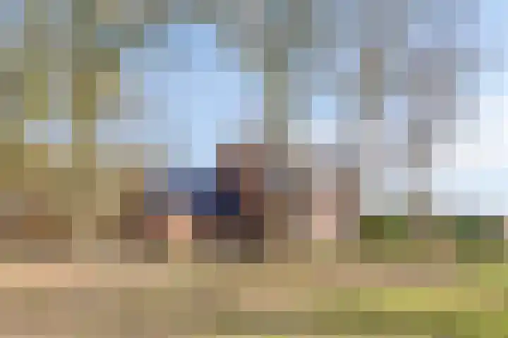 Bosschebaan 17 Velp thumbnail 29