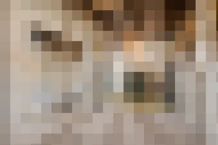 Bosschebaan 17 Velp thumbnail 32