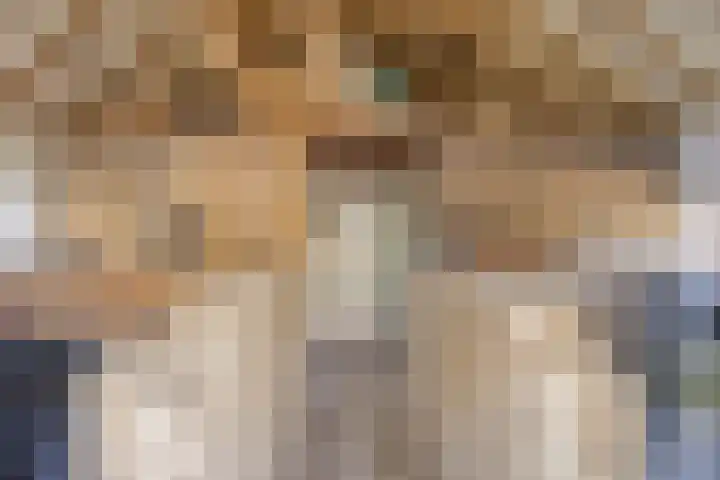 Bosschebaan 17 Velp thumbnail 34