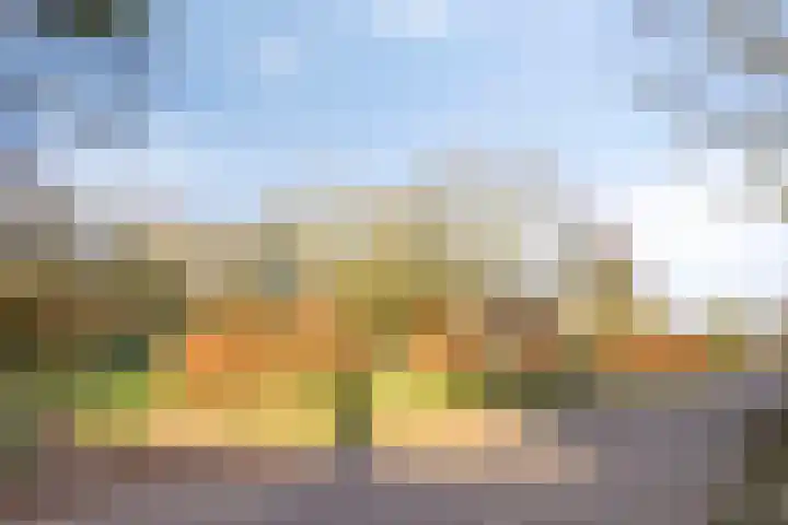 Bosschebaan 17 Velp thumbnail 35