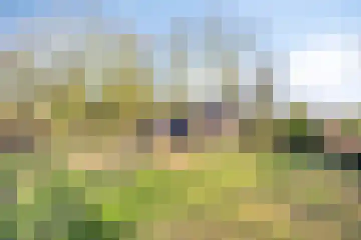 Bosschebaan 17 Velp thumbnail 36