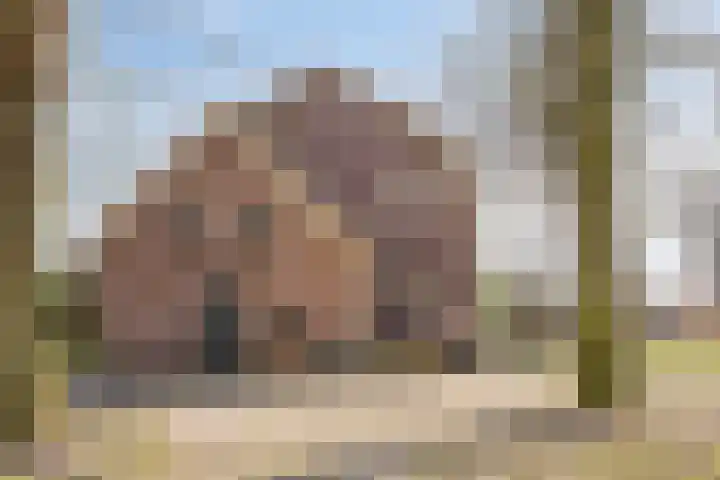 Bosschebaan 17 Velp thumbnail 38