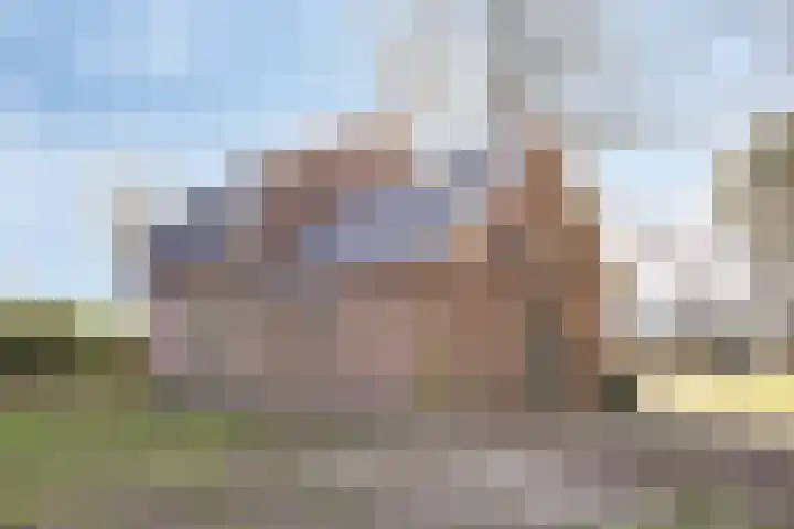 Bosschebaan 17 Velp thumbnail 39