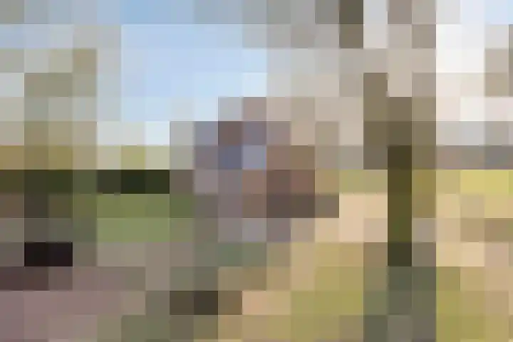 Bosschebaan 17 Velp thumbnail 40