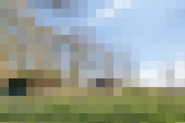 Bosschebaan 17 Velp thumbnail 42