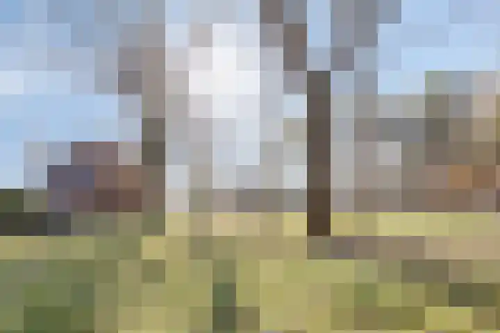 Bosschebaan 17 Velp thumbnail 43