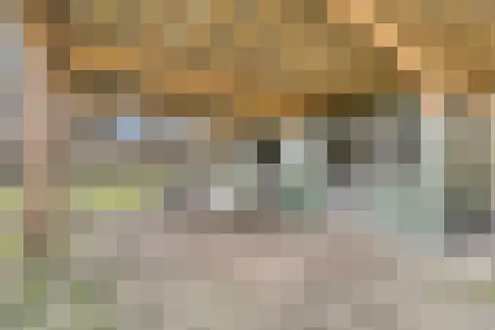 Bosschebaan 17 Velp thumbnail 45