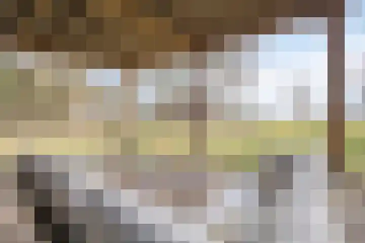 Bosschebaan 17 Velp thumbnail 46