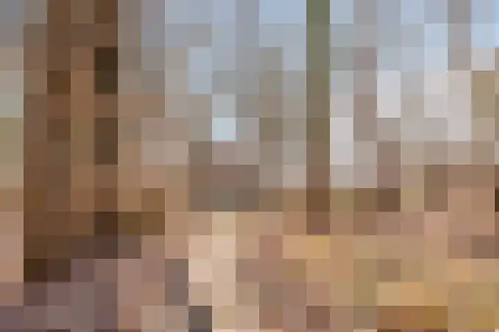 Bosschebaan 17 Velp thumbnail 47