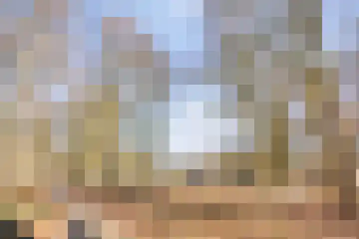 Bosschebaan 17 Velp thumbnail 48