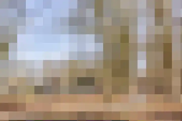 Bosschebaan 17 Velp thumbnail 49