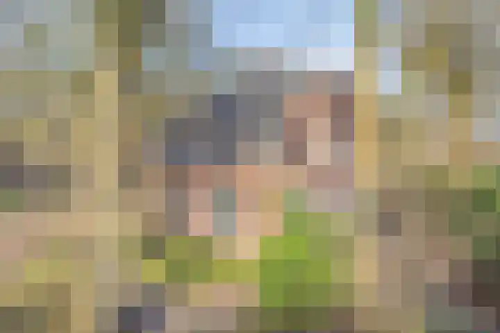 Bosschebaan 17 Velp thumbnail 5