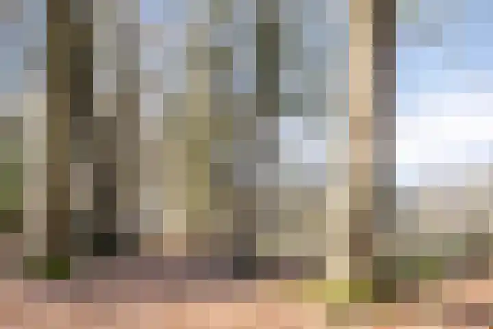 Bosschebaan 17 Velp thumbnail 50