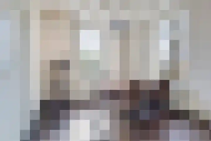 Bosschebaan 17 Velp thumbnail 9