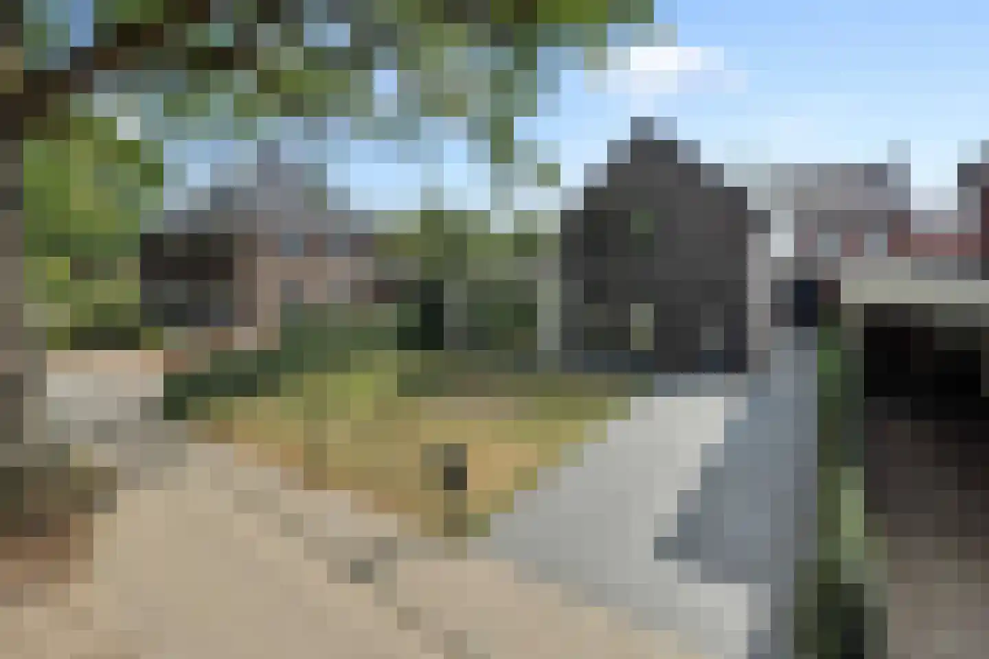Bosschebaan 19 Heesch thumbnail 45
