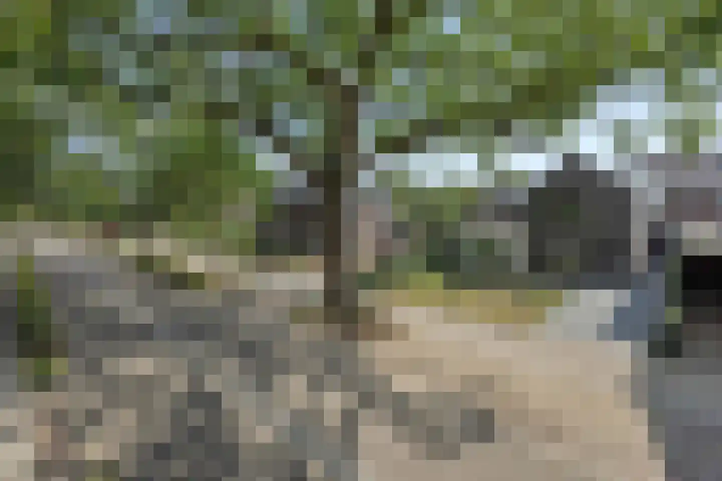 Bosschebaan 19 Heesch thumbnail 46