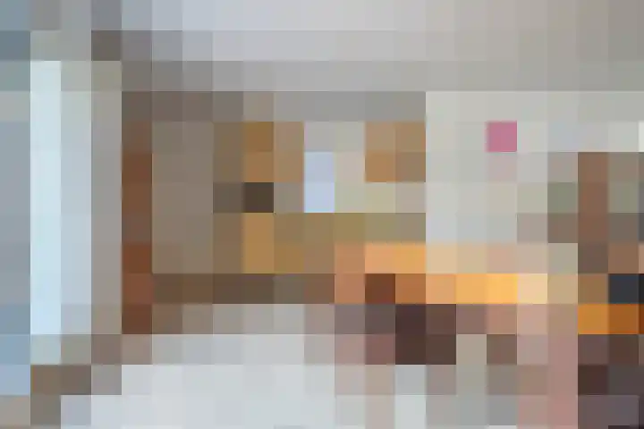 Bosschebaan 20 Heesch thumbnail 11