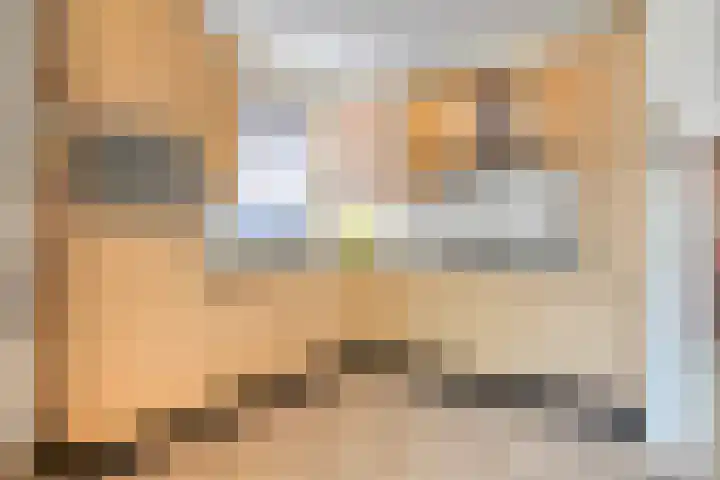 Bosschebaan 20 Heesch thumbnail 12