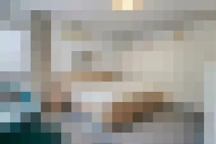 Bosschebaan 20 Heesch thumbnail 15